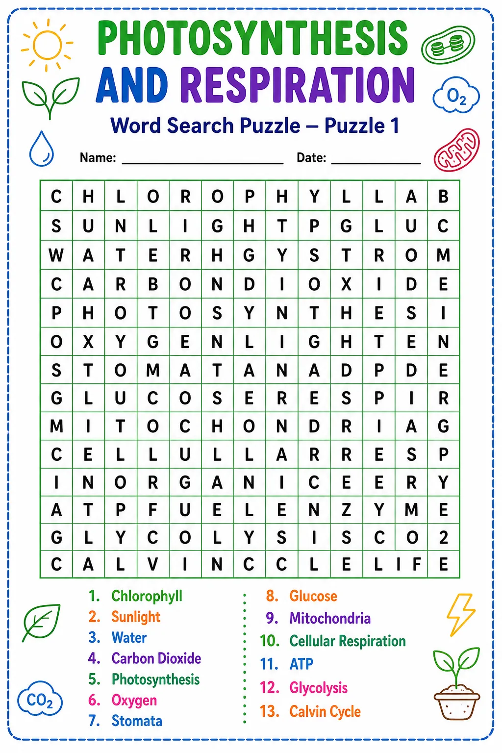 Photosynthesis and Respiration Word Search Puzzle for Learning