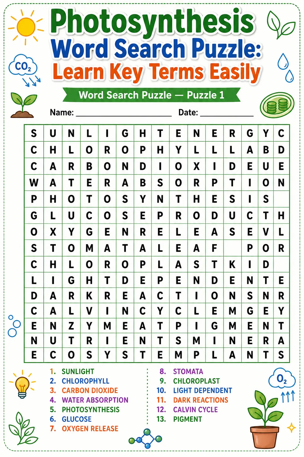 Photosynthesis Word Search Puzzle: Learn Key Terms Easily